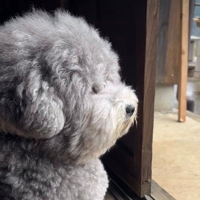 VPnFzWZb2F90688's profile picture. 