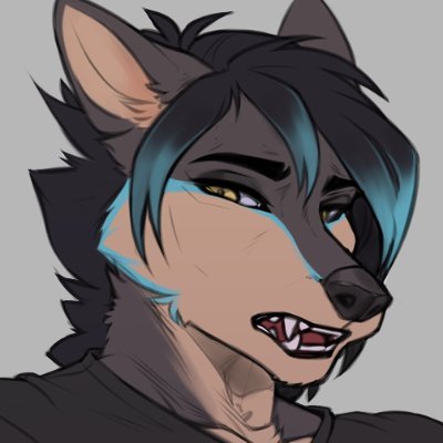 Blake Aurora π Profile