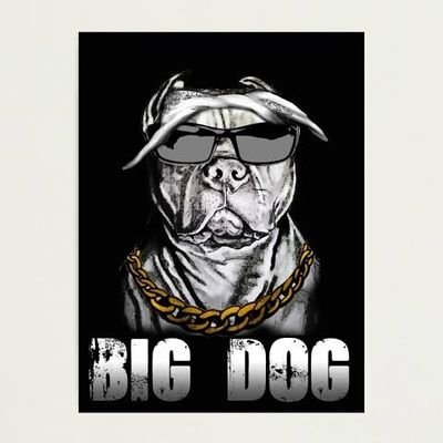 bigdogismyname's profile picture. I post anything mostly sports 

proud fan of the @NRL_Bulldogs