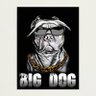 bigdogismyname's profile picture. I post anything mostly sports 

proud fan of the @NRL_Bulldogs
