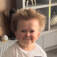 Mr Sandwich (@mrsandwichpw) 's Twitter Profile Photo