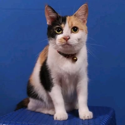 sportday5758's profile picture. 