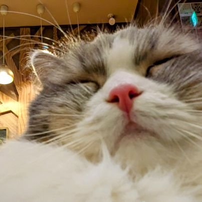 💤さんのプロフィール画像