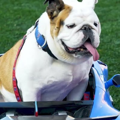 techie_burner's profile picture. I just be riding in my Bugatti *not affiliated with LA Tech and Techie*