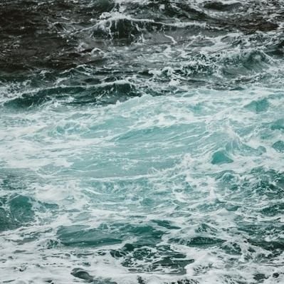 WAVEthepado's profile picture. 계정 정지-계이함