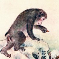 猿も今からchill (@harveyjohn59925) 's Twitter Profile