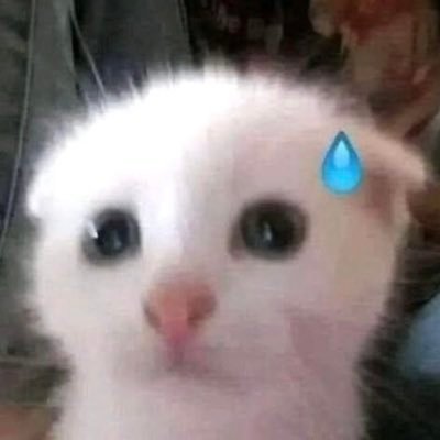 chochopudding's profile picture. 1년안에 1000만원만들기