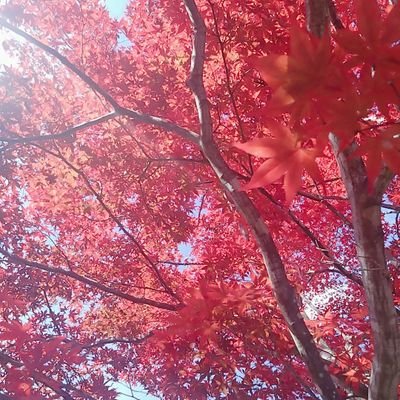 @FuJ5m5ZhTh56537