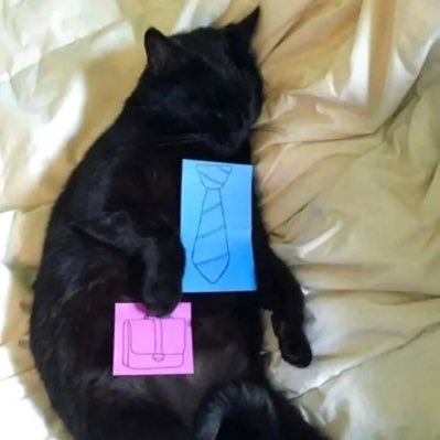 BiantaiHaokibak's profile picture. 太多的迷障使我们忘记自己正在迈向死亡。