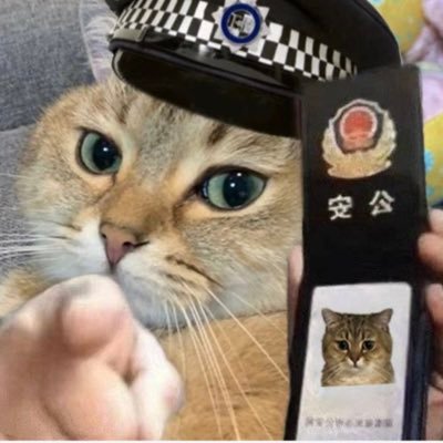 #nygigiอัพเดท 📦 #nygigi_tracking 🌟#nygigi_reviews 💌 ส่งของวันถัดไป