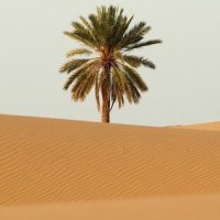 ⌬ (@a_b_r_a_r1) 's Twitter Profile