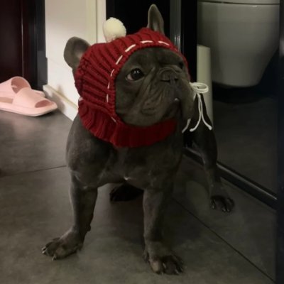 chyej36312625's profile picture. 