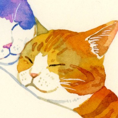 一色いっささんのプロフィール画像
