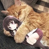 nmnm (@who_is_she_f) Twitter profile photo