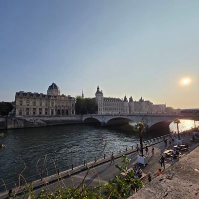 mii45556's profile picture. 