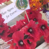 carvo Marlon (@mirabelmer81206) 's Twitter Profile