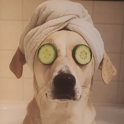 Privat hier, kein BOT, kein Meldefuzzi, hab nur gern das Ohr auf der Schiene 🤗
