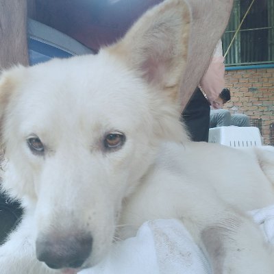 @KasperDoggo