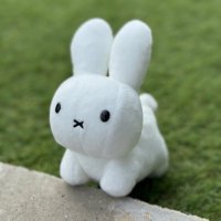 みふい🐤 (@mifuidesu) 's Twitter Profile
