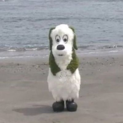 刀剣乱舞メイン/刀さに有/成人済み/江戸3特に好き🫵