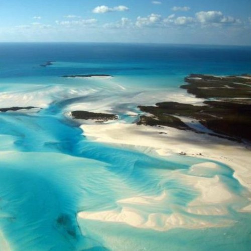 BahamasFlyers's profile picture. 