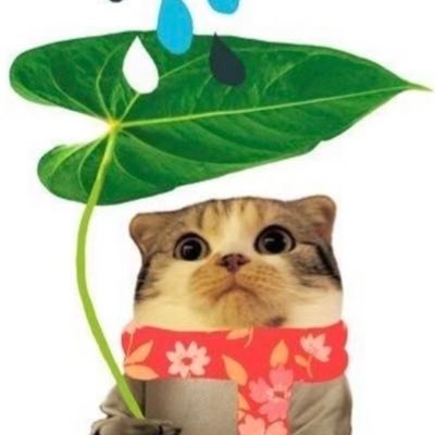 msladylovebug's profile picture. 