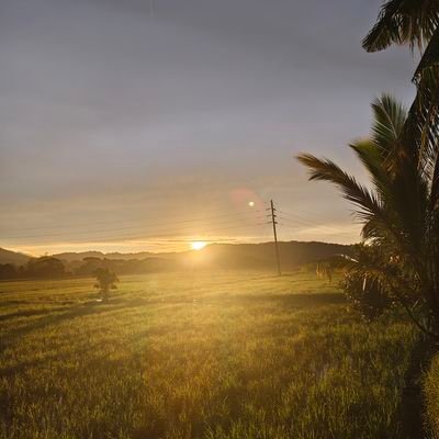 sheen_knp's profile picture. DongPat🩵

Winmetawin and KengNamping in Thailand!