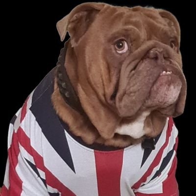 Adrian65010629's profile picture. Businessman, crypto enthusiast, and hopeful that one day the British government will be depowered.