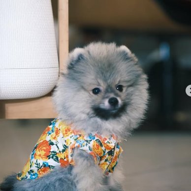 DaoAnh1529228's profile picture. Only FayeYoko