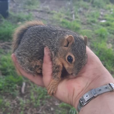 Jessie25522415's profile picture. 