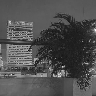 Tld_02's profile picture. 