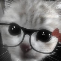 catsha (@catshanow) 's Twitter Profile