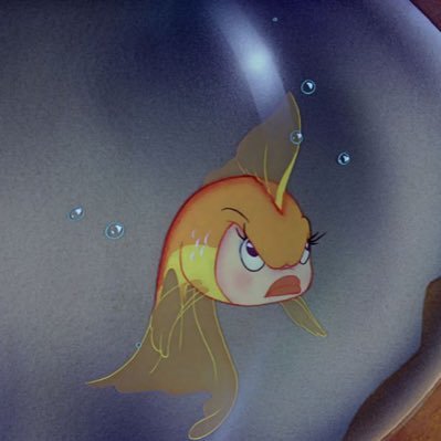 23aseel8's profile picture. 