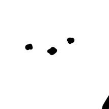 🕊️ わさんのプロフィール画像