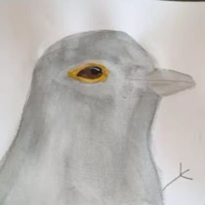 abbewowkyabaat's profile picture. Unemployed. Kabutar.