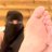LaylaKhan2130's profile image