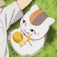 にゃんこ先生推し、自立応援用垢 (@m0shim0shi0910) Twitter profile photo