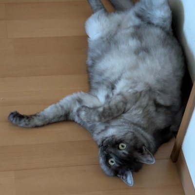 sun_garden_'s profile picture. いっぱいめちゃくちゃ笑顔を！！
笑顔いっぱいください！！
ŧ‹"ŧ‹"ŧ‹"ŧ‹"ŧ‹"ŧ
永遠の二十歳女子┗( ^o^)┛
笑顔٩(๑❛ᴗ❛๑)۶　笑顔* ᴗ͈ˬᴗ͈)笑顔　٩(𝘯๑❛ᴗ❛๑𝘯)۶
明るく毎日が楽しくなるよう💮ｽﾏｲﾙ💮ｽﾏｲﾙ💮ｽﾏｲﾙ💮ｽﾏｲﾙ💮ｽﾏｲﾙ💮ｽﾏｲﾙ　笑顔探しています