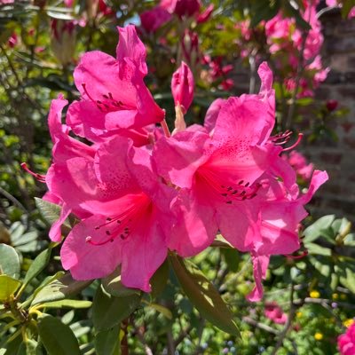 jolylucas_'s profile picture. hi