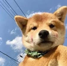 ic6t2a6v2t6141's profile picture. Your vibe attracts your tribe. 🌈