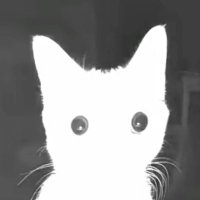 메 (@woomeyaa) 's Twitter Profile Photo 메 (@woomeyaa) 's Twitter Profile Photo
