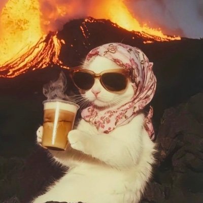 NgSheels's profile picture. sheep in wolf’s clothing