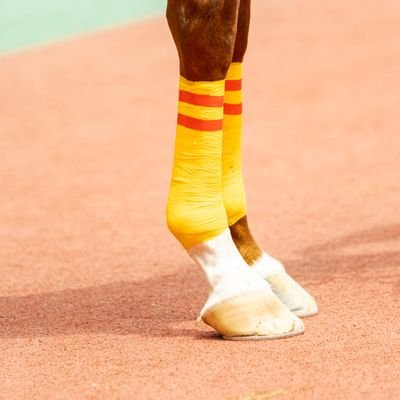 Nori (@sigea4gst) / Posts / X