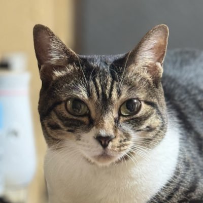 izMfxeHzv683089's profile picture. 設備全般の施工管理やってます。 保有資格→ 1級 建 電 電通 管(補)/第二種電気工事士 /消防設備士 甲種1.3.4類 乙種1.3.4.6.7類 /危険物取扱者乙種4類