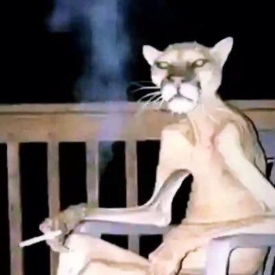 spencerr0905's profile picture. 