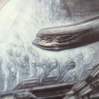 Glassy_skull804's profile picture. May as well
