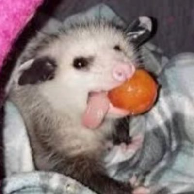 뽀씀이さんのプロフィール画像