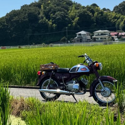 hasetaku_cub's profile picture. その日暮らしの社不農家です✌️