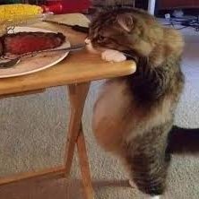 RayArer266's profile picture. Links: https://t.co/rtIfF9FNwN