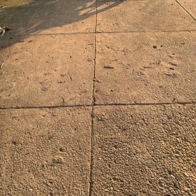 SinglaJoy46630's profile picture. “Tere hath main leekan, apne naa diya tolan’iya.”